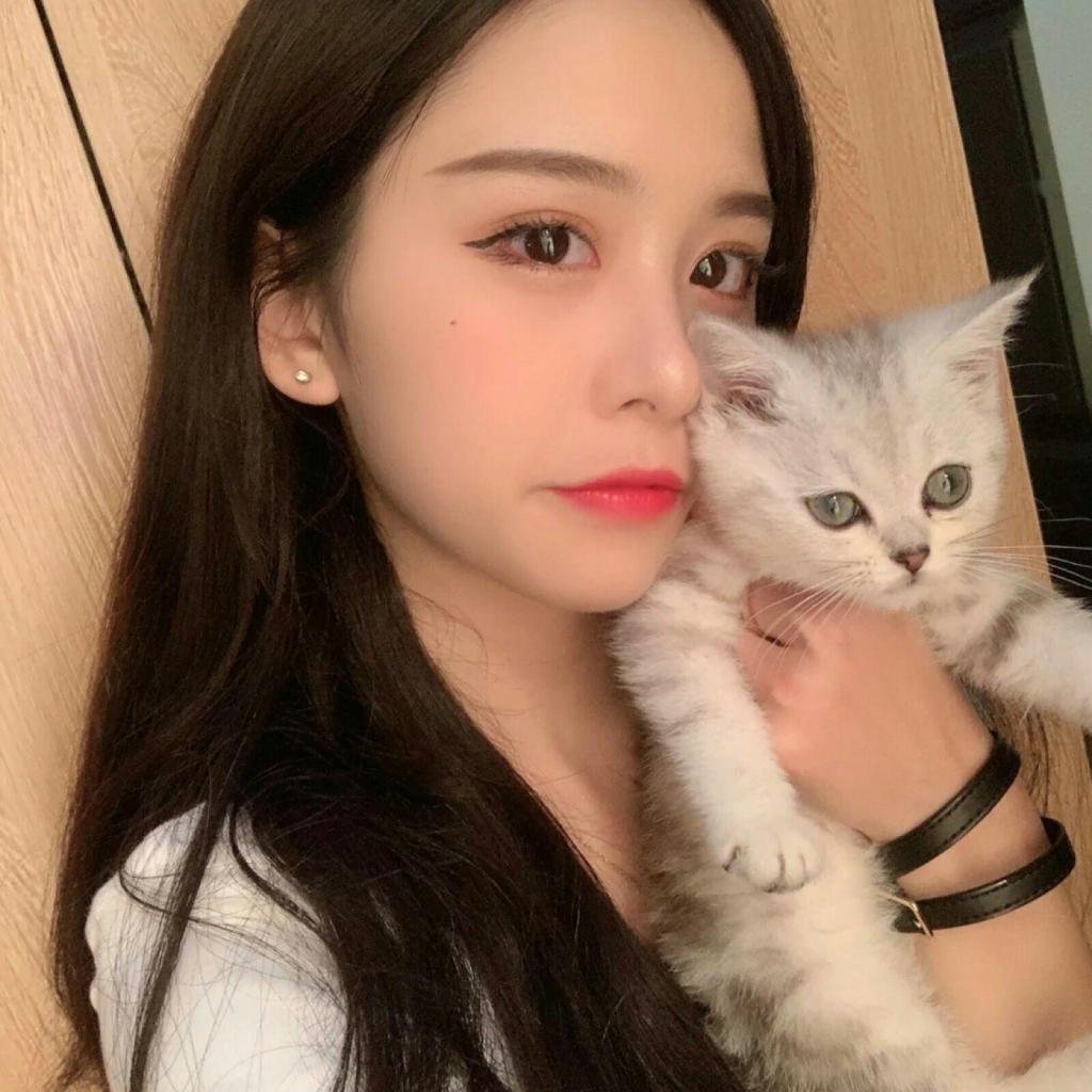 半岛官网入口网页版下载手机版