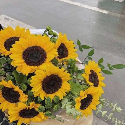 天博tb综合体育官方app下载