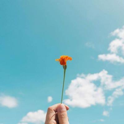 星空线上官网手机app下载