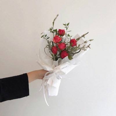 海星体育app下载